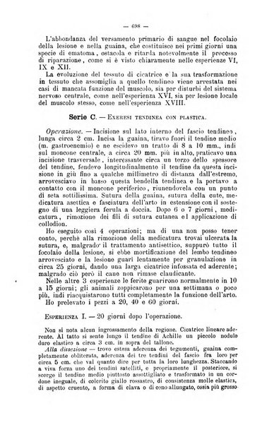 Giornale internazionale delle scienze mediche