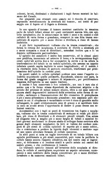 Giornale internazionale delle scienze mediche