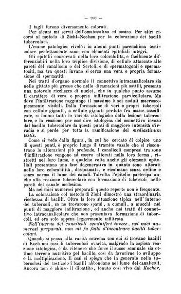 Giornale internazionale delle scienze mediche