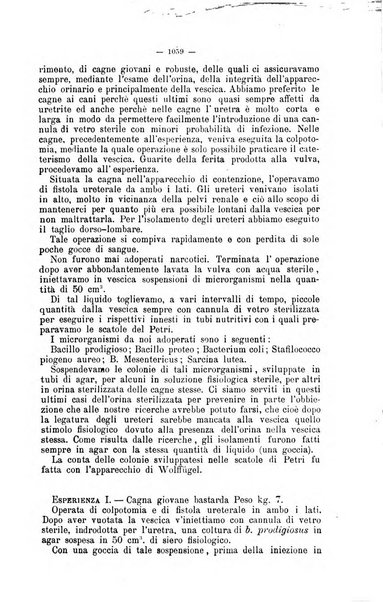 Giornale internazionale delle scienze mediche