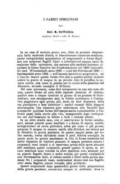 Giornale internazionale delle scienze mediche