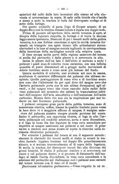 Giornale internazionale delle scienze mediche