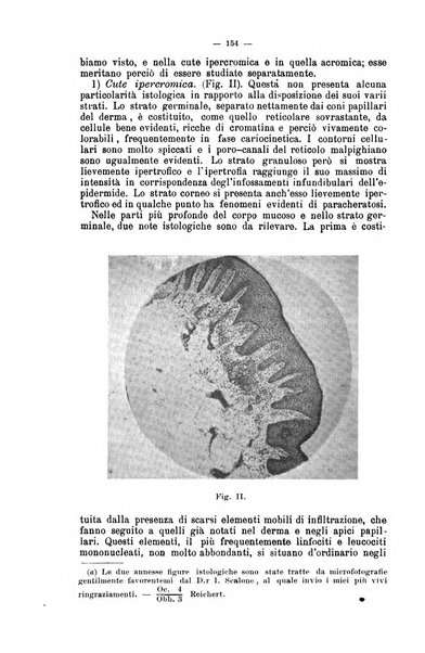 Giornale internazionale delle scienze mediche