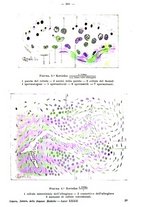 giornale/NAP0021576/1910/unico/00000359