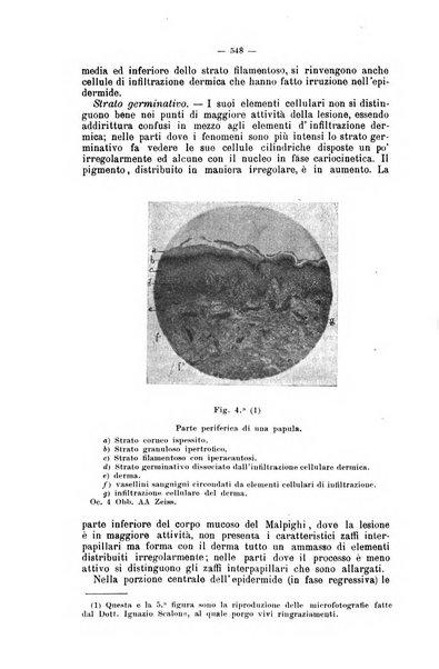 Giornale internazionale delle scienze mediche