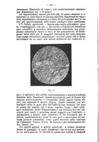 giornale/NAP0021576/1910/unico/00000726