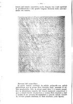 giornale/NAP0021576/1910/unico/00001146