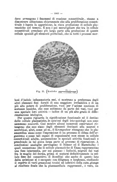 Giornale internazionale delle scienze mediche