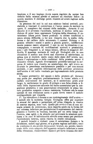 Giornale internazionale delle scienze mediche