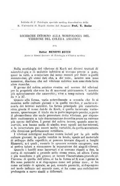 Giornale internazionale delle scienze mediche