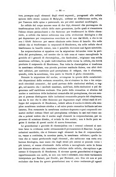 Giornale internazionale delle scienze mediche