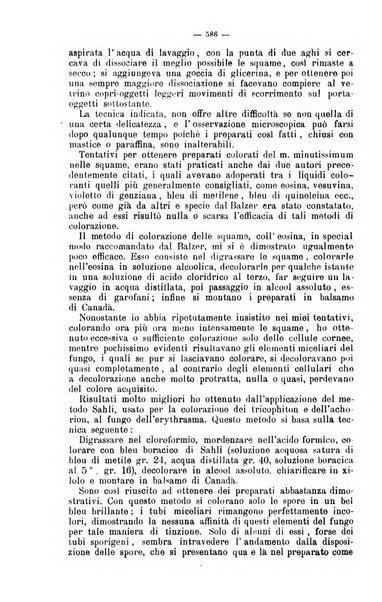 Giornale internazionale delle scienze mediche