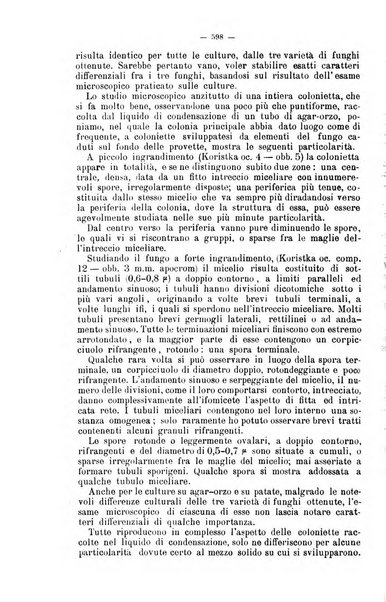 Giornale internazionale delle scienze mediche