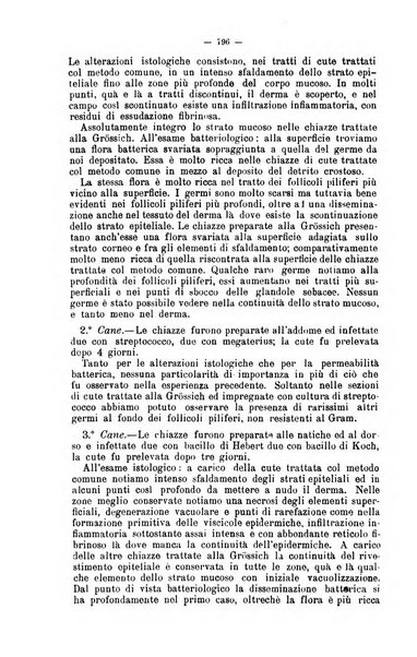 Giornale internazionale delle scienze mediche