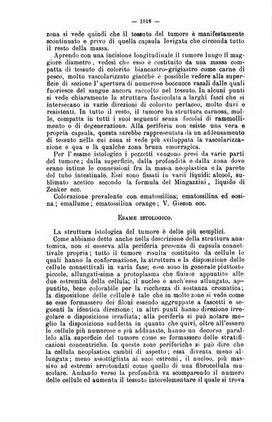 Giornale internazionale delle scienze mediche