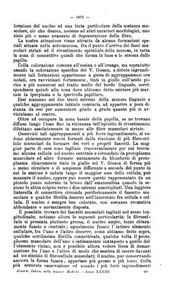 Giornale internazionale delle scienze mediche