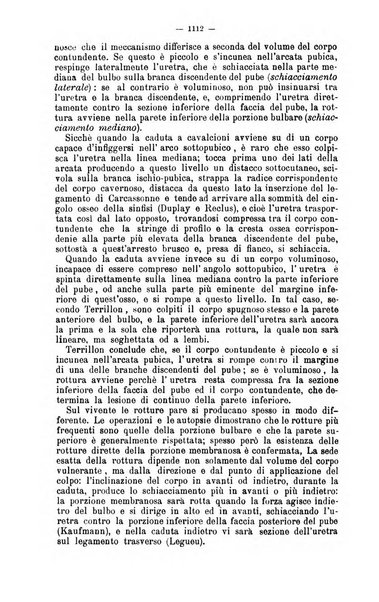 Giornale internazionale delle scienze mediche