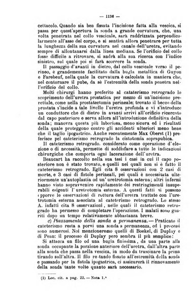 Giornale internazionale delle scienze mediche