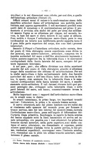 Giornale internazionale delle scienze mediche