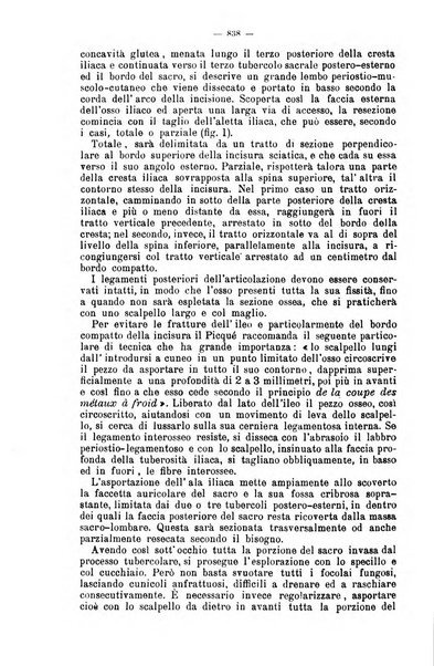 Giornale internazionale delle scienze mediche