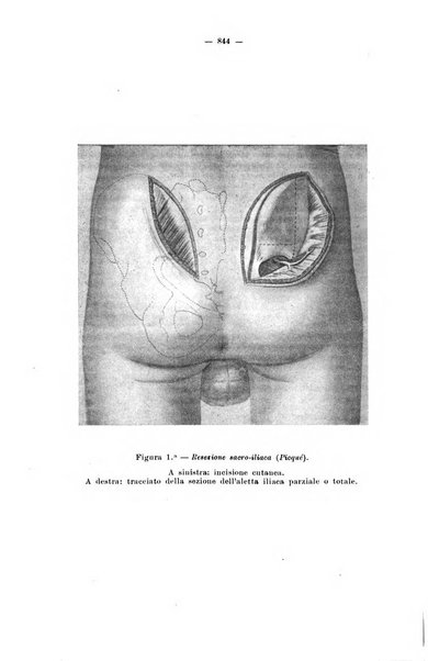 Giornale internazionale delle scienze mediche