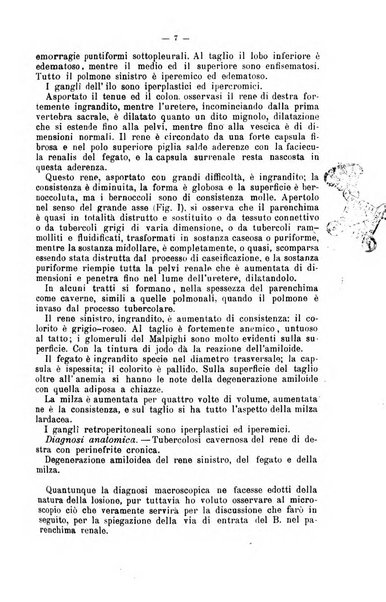 Giornale internazionale delle scienze mediche