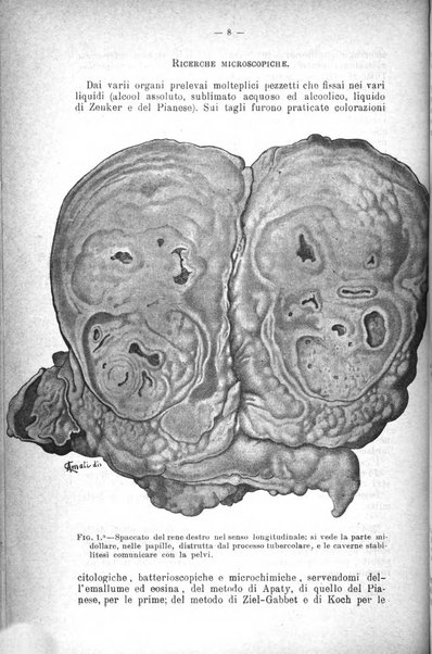 Giornale internazionale delle scienze mediche