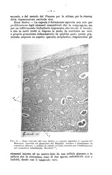 Giornale internazionale delle scienze mediche