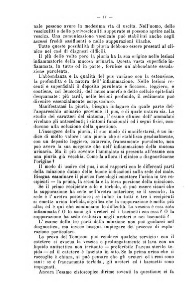 Giornale internazionale delle scienze mediche