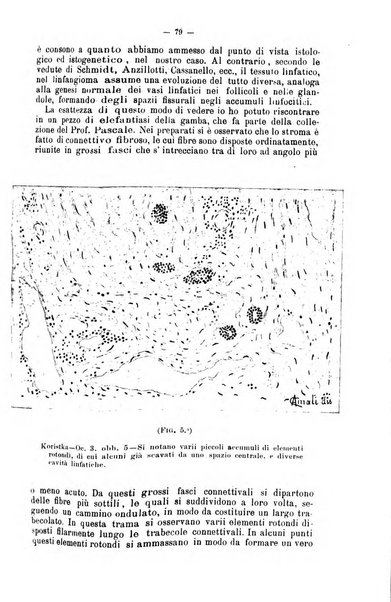 Giornale internazionale delle scienze mediche