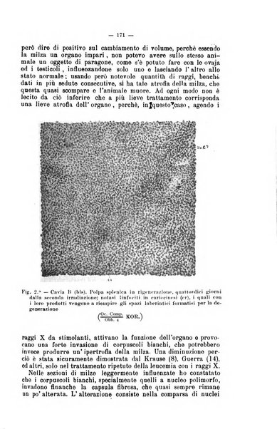 Giornale internazionale delle scienze mediche