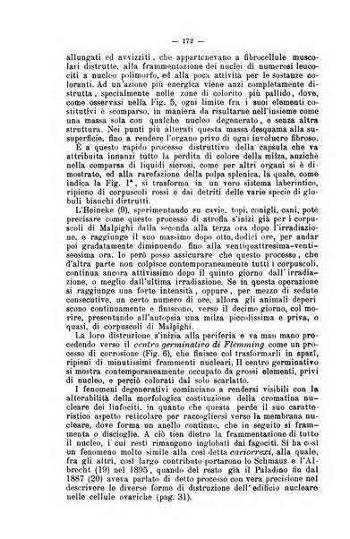 Giornale internazionale delle scienze mediche