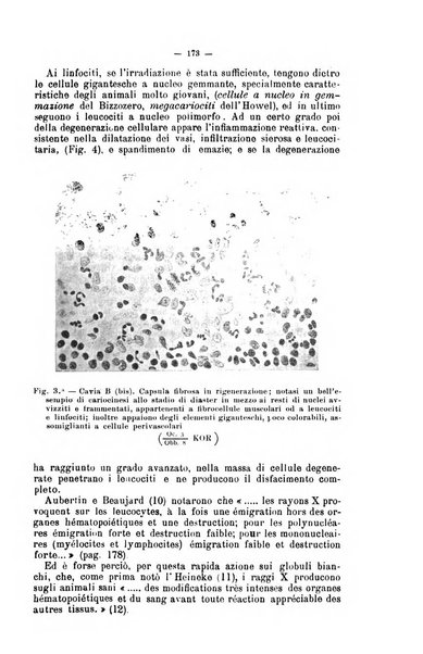 Giornale internazionale delle scienze mediche