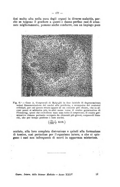 Giornale internazionale delle scienze mediche