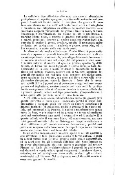 Giornale internazionale delle scienze mediche