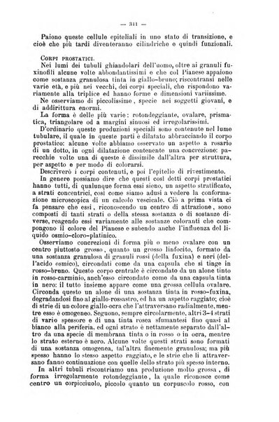 Giornale internazionale delle scienze mediche