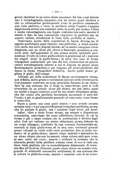 Giornale internazionale delle scienze mediche