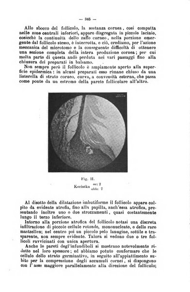 Giornale internazionale delle scienze mediche