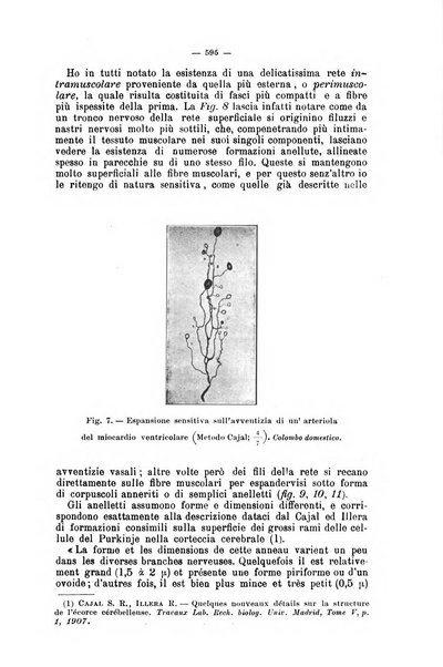 Giornale internazionale delle scienze mediche