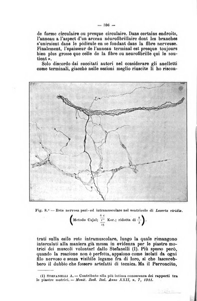 Giornale internazionale delle scienze mediche