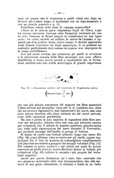 Giornale internazionale delle scienze mediche