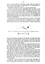 giornale/NAP0021576/1913/unico/00000664