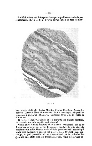 Giornale internazionale delle scienze mediche