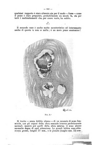 Giornale internazionale delle scienze mediche