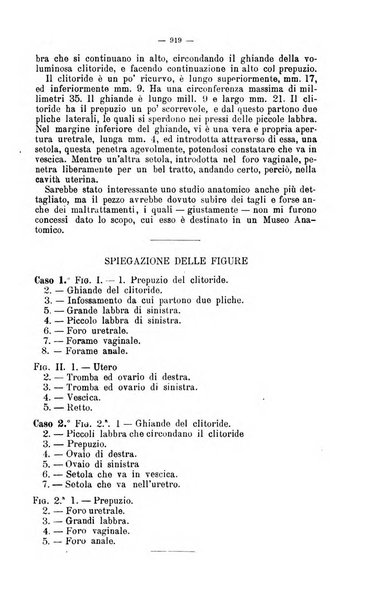 Giornale internazionale delle scienze mediche