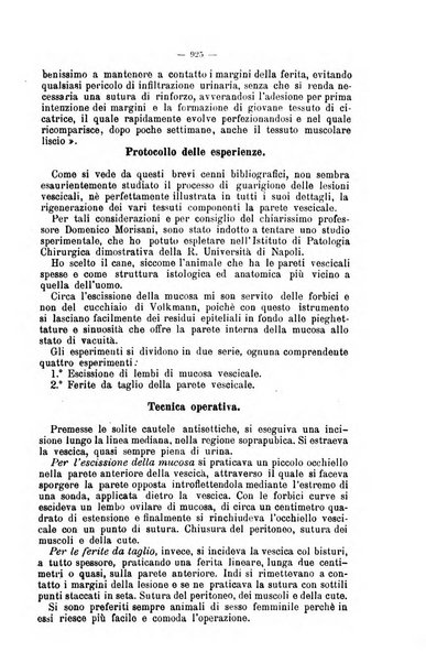 Giornale internazionale delle scienze mediche