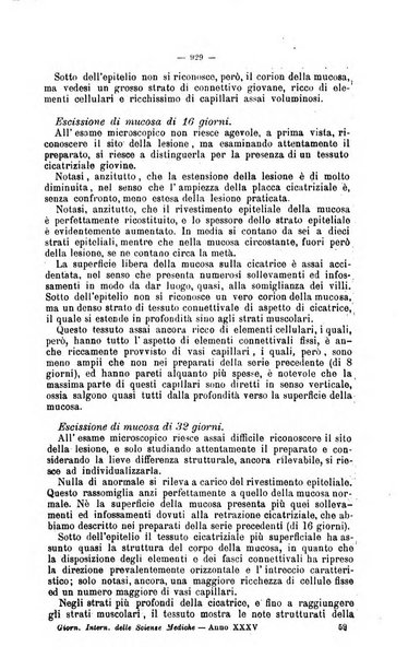 Giornale internazionale delle scienze mediche