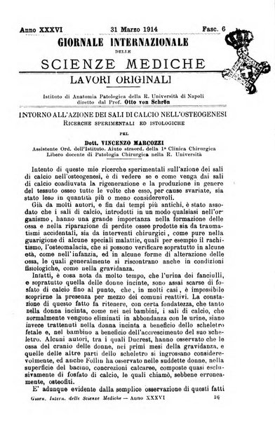 Giornale internazionale delle scienze mediche