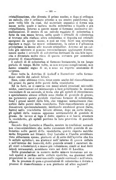 Giornale internazionale delle scienze mediche