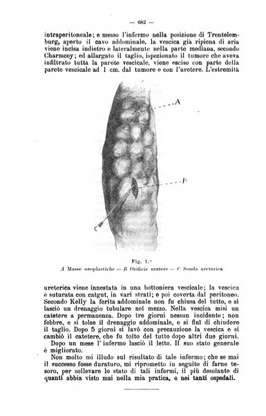 Giornale internazionale delle scienze mediche